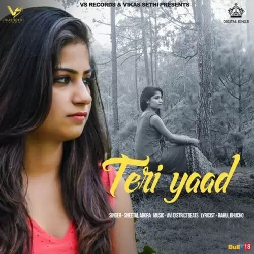 Teri Yaad Sheetal Arora Mp3 Download Song - Mr-Punjab