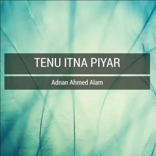 Tenu Itna Piyar Adnan Ahmed Alam Mp3 Download Song - Mr-Punjab