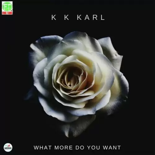 What More Do You Want KK Karl Mp3 Download Song - Mr-Punjab