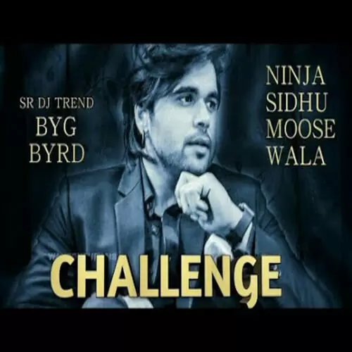Challenge Ninja Mp3 Download Song - Mr-Punjab
