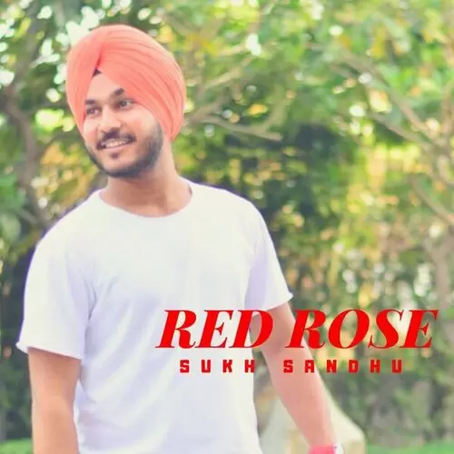 Red Rose Sukh Sandhu Mp3 Download Song - Mr-Punjab