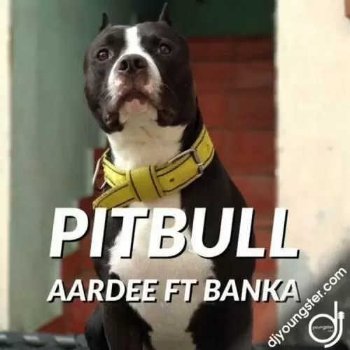 Pitbull Ft Banka Aardee Mp3 Download Song - Mr-Punjab