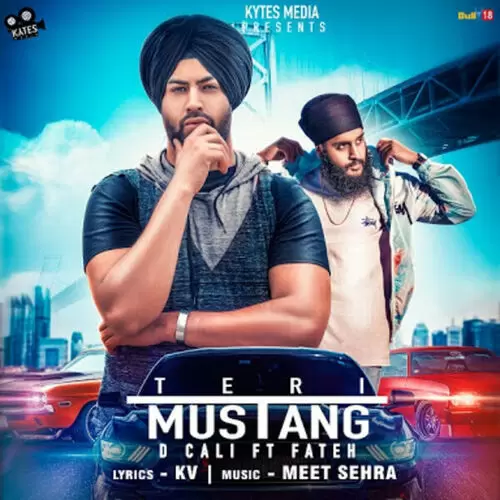 Teri Mustang D Cali Mp3 Download Song - Mr-Punjab