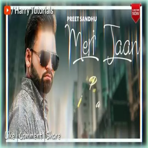 Meri Jaan Preet Sandhu Mp3 Download Song - Mr-Punjab