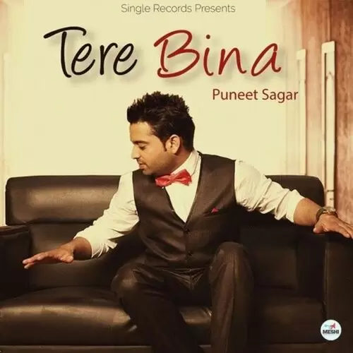 Tere Bina Puneet Sagar Mp3 Download Song - Mr-Punjab