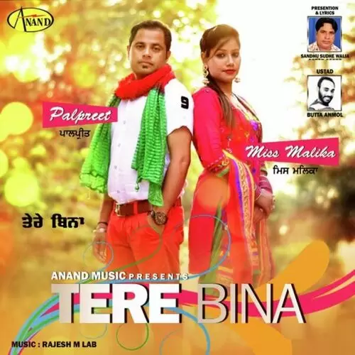 Tere Bina Palpreet Mp3 Download Song - Mr-Punjab
