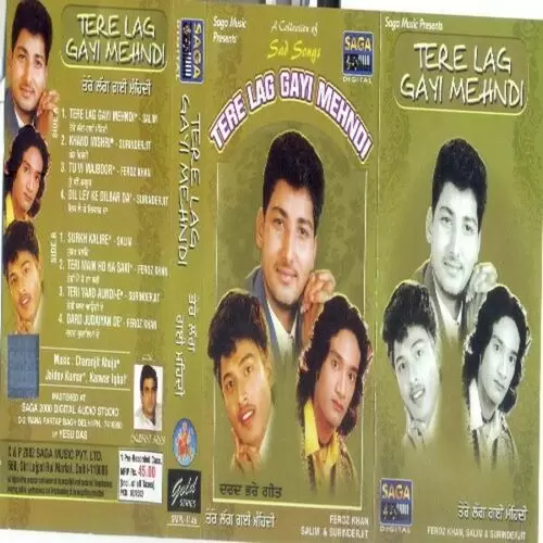 Tere Lag Gayi Mehndi Salim Mp3 Download Song - Mr-Punjab