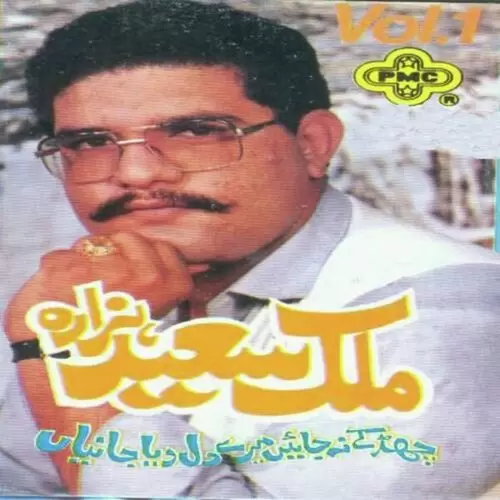 Toon Aen Dil Da Jani Malik Saeed Hazara Mp3 Download Song - Mr-Punjab