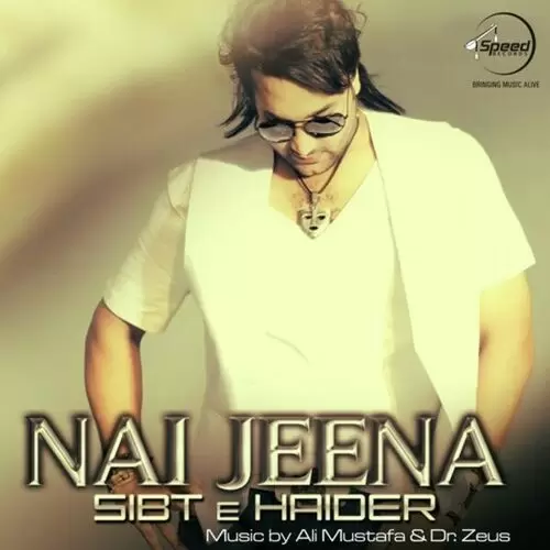 Lagay Na Yeh Dil Sibt E Haider Mp3 Download Song - Mr-Punjab