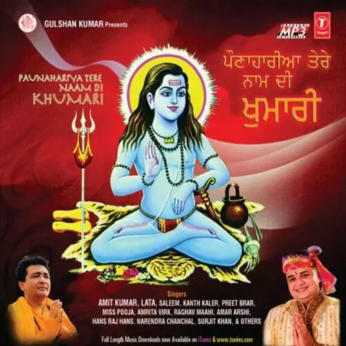 Pauna Hariya Deewani Tere Naam Di Amit Kumar Mp3 Download Song - Mr-Punjab