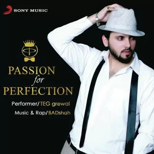 Passion for Perfection Songs