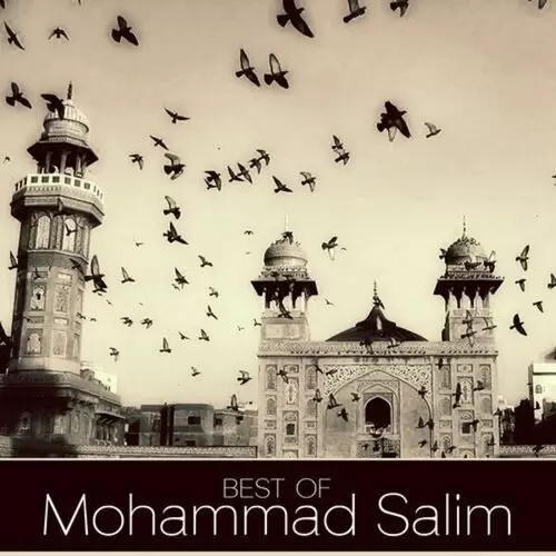Chunni Data Hajweri Toon Mohammad Salim Mp3 Download Song - Mr-Punjab