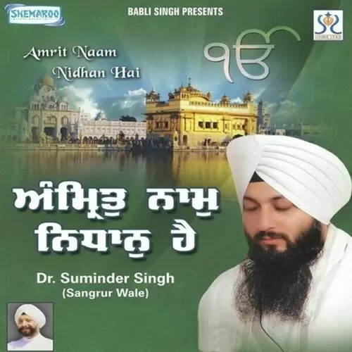 Amrit Naam Nidhan Hai Dr. Suminder Singh Mp3 Download Song - Mr-Punjab