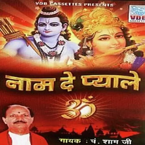 Jeevan Nahi Aana Bar Bar P. Sham Ji Mp3 Download Song - Mr-Punjab