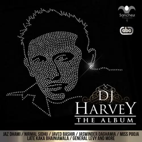 Phulkari Dj Harvey Mp3 Download Song - Mr-Punjab