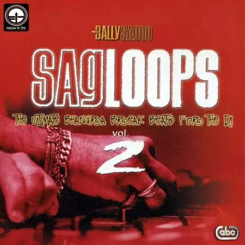 Sagloops Volume 2 - The Ultimate Bhangra Break Beats For The DJ Songs