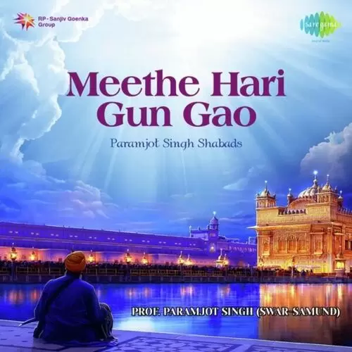 Mere Man Prem Lago Prof. Paramjot Singh Mp3 Download Song - Mr-Punjab