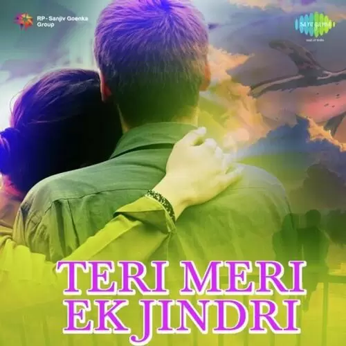 Pyar Kinjh Paye Da Narinder Biba Mp3 Download Song - Mr-Punjab