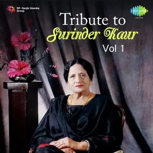 Suhe Ve Cheere Waleya Surinder Kaur Mp3 Download Song - Mr-Punjab