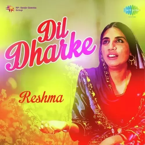 Dil Dharke- Reshma Songs