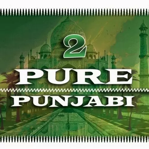Pure Punjabi 2 Songs