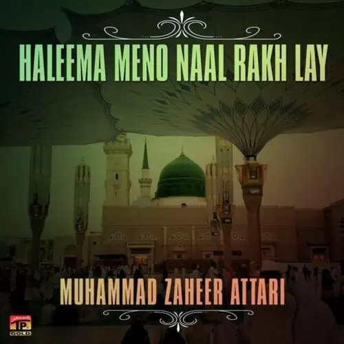 Zameen Meli Nahe Hote Muhammad Zaheer Attari Mp3 Download Song - Mr-Punjab