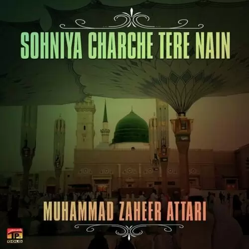 Kuch Nahe Mangta Main Moula Muhammad Zaheer Attari Mp3 Download Song - Mr-Punjab