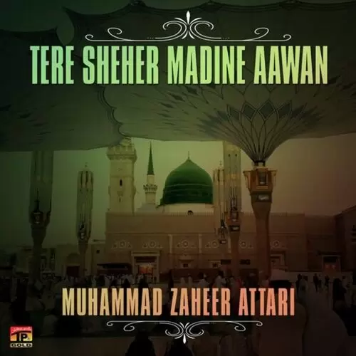 Melaad Manaya Kar Muhammad Zaheer Attari Mp3 Download Song - Mr-Punjab