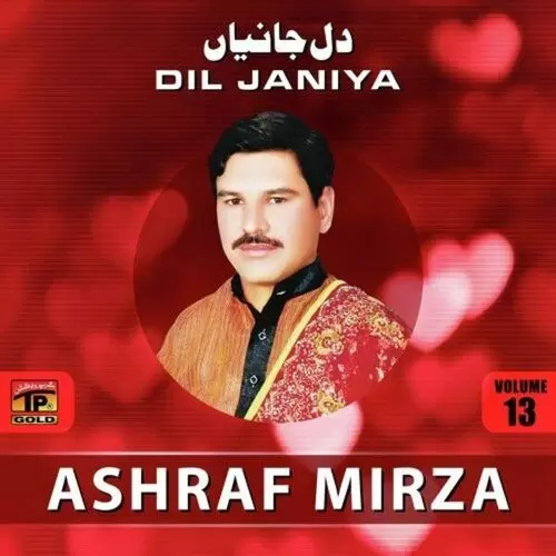 Niki Jai Gal Lokan Wadi Ashraf Mirza Mp3 Download Song - Mr-Punjab