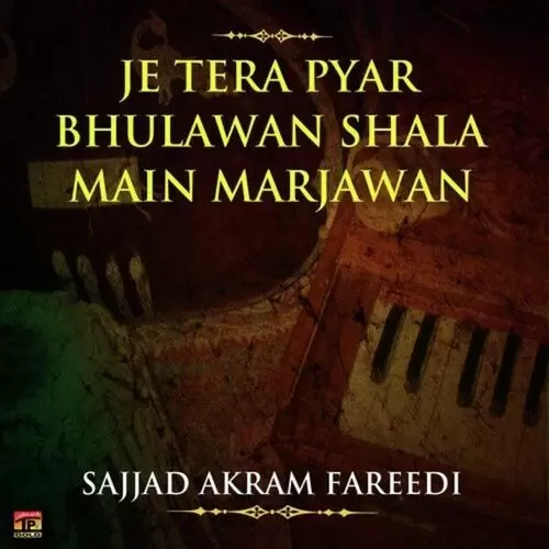 Je Tera Pyar Bhulawan Shala Main Marjawan Songs