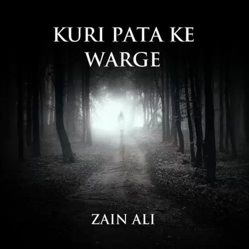 Gairat Mand Punjab De Zain Ali Mp3 Download Song - Mr-Punjab