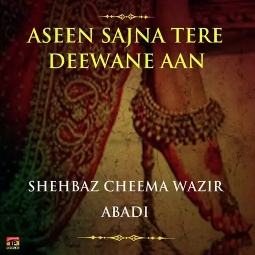 Gori Veeni Teri Shehbaz Cheema Wazir Abadi Mp3 Download Song - Mr-Punjab