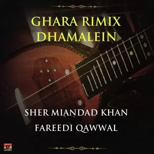 Haider Ka Ladla Hai Sher Miandad Khan Fareedi Qawwal Mp3 Download Song - Mr-Punjab