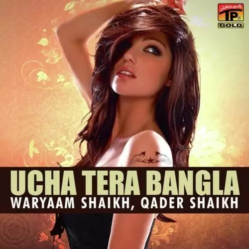 Assi Sade Tussi Bande Hoshiyar Waryaam Shaikh Mp3 Download Song - Mr-Punjab