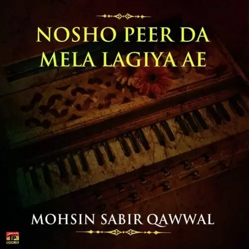 Jina Parhiyan Ishq Mohsin Sabir Qawwal Mp3 Download Song - Mr-Punjab