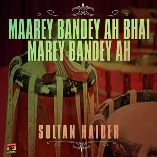 Mehandi Ke Raat Mubarak Sultan Haider Mp3 Download Song - Mr-Punjab