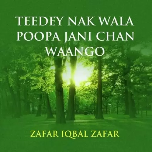Zindagi Ich Ki Reh Gaya Zafar Iqbal Zafar Mp3 Download Song - Mr-Punjab