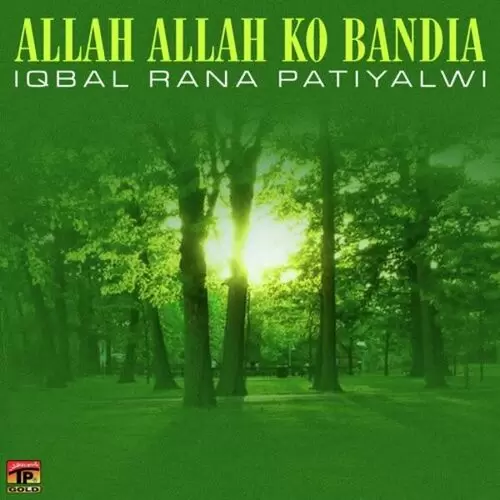 Teri Yaadan De Diwe Iqbal Rana Patiyalwi Mp3 Download Song - Mr-Punjab