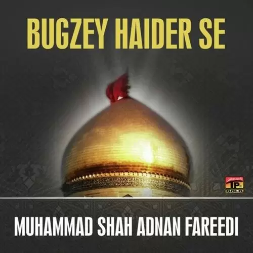 Main Sohnrey Da Muhammad Shah Adnan Fareedi Mp3 Download Song - Mr-Punjab