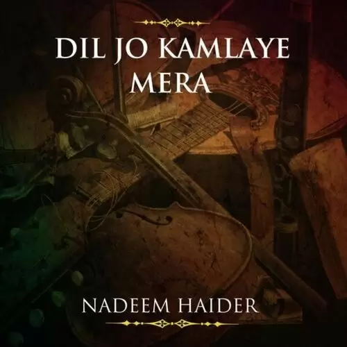 Dil Jo Kamlaye Mera Songs