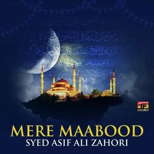 Mera Umrah Da Ticket Jay Niklay Syed Asif Ali Zahori Mp3 Download Song - Mr-Punjab