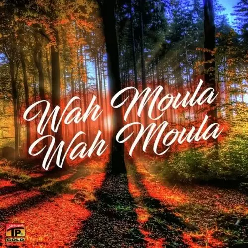 Dewa Sokan De Ghar Balda Wah Moula Wah Moula Mp3 Download Song - Mr-Punjab