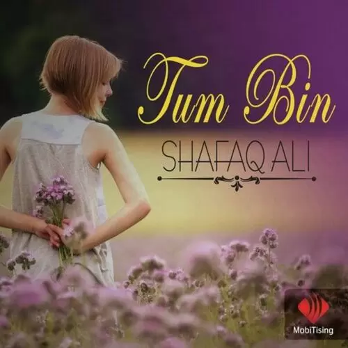 Tum Bin Shafaq Ali Mp3 Download Song - Mr-Punjab