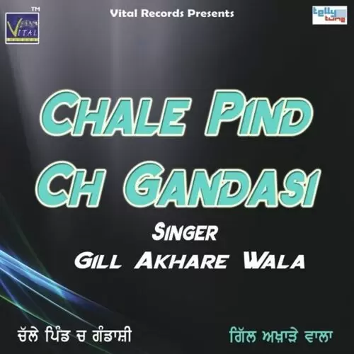 Pind Vich Vair Gill Akhare Wala Mp3 Download Song - Mr-Punjab
