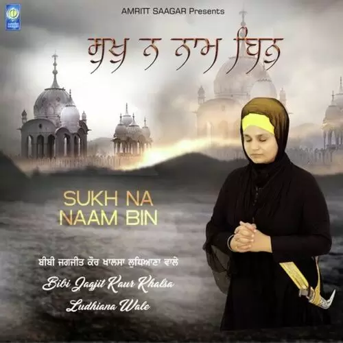 Sukh Na Naam Bin Bibi Jagjeet Kaur Ji Khalsa Ludhiana Wale Mp3 Download Song - Mr-Punjab