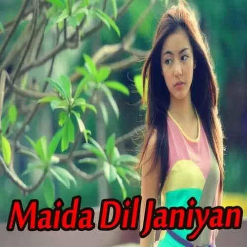 Maida Dil Janiyan Songs