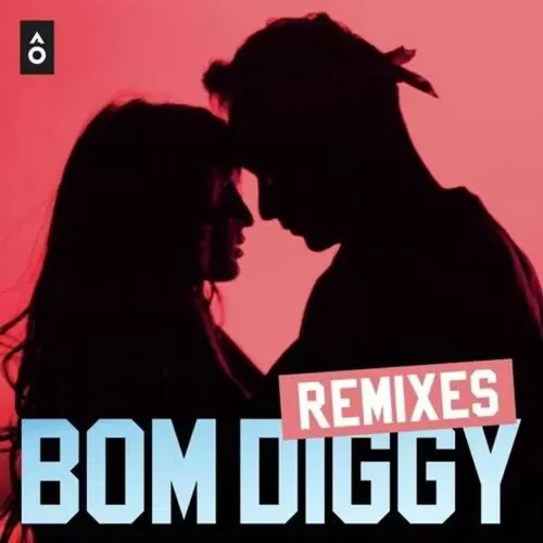 Bom Diggy (Remixes) Songs