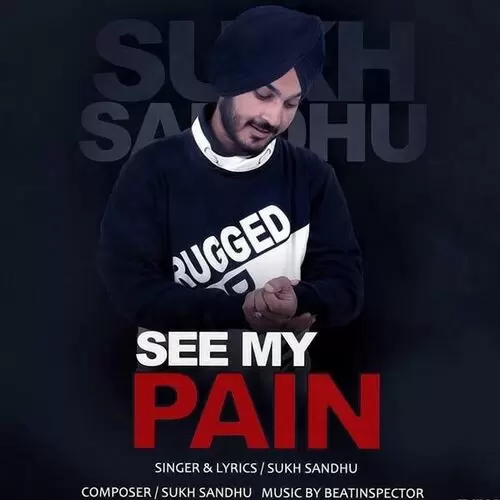See My Pain Sukh Sandhu Mp3 Download Song - Mr-Punjab