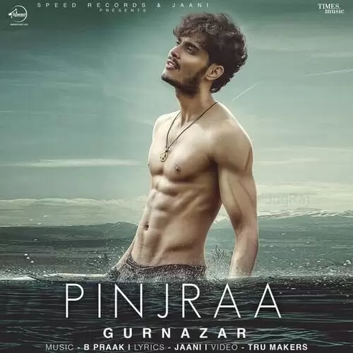 Pinjraa Gurnazar Mp3 Download Song - Mr-Punjab