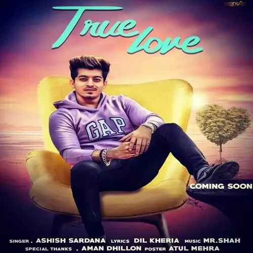 True Love Ashish Sardana Mp3 Download Song - Mr-Punjab